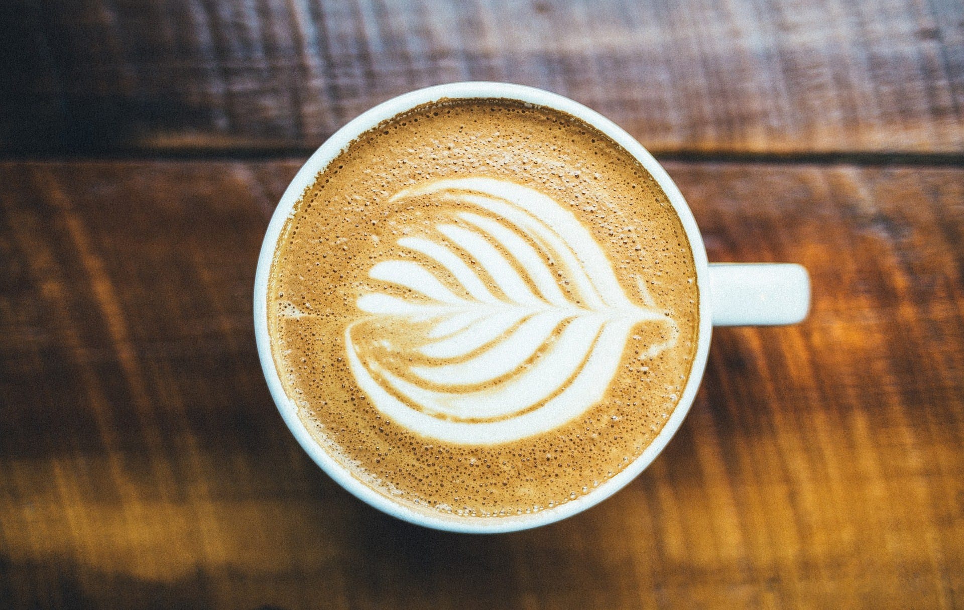 Cappuccino Cappuccino