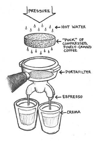 Espresso Extract System
